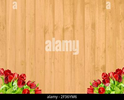Bündel von roten Tulpen auf einem Hintergrund von goldenen Holzplanken, verwenden als fröhliche oder romantische Hintergrund Stockfoto