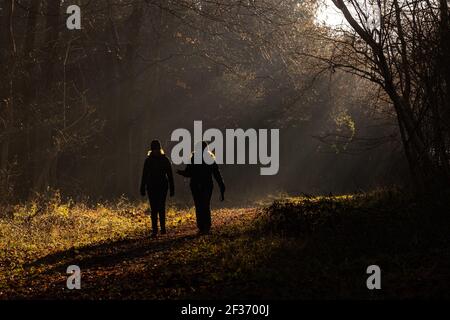 Menschen, die in Sonnenstrahlen durch die Bäume im Droke Forest in der Nähe von East Dean, West Sussex, laufen Stockfoto