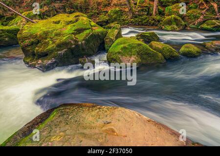 Die Stromschnellen im Unterlauf des Prüm bei Irrel in der Eifel. Die Irrel Wasserfälle der Prüm. Stockfoto