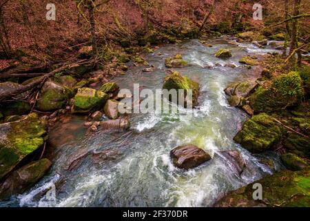 Die Irrel Wasserfälle der Prüm. Die Stromschnellen im Unterlauf des Prüm bei Irrel in der Eifel. Stockfoto