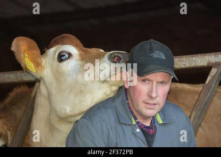 Robert Hunter, Milchbauer mit seinen Kühen, Tarbrax Farm, Shotts, Lanarkshire, Schottland Stockfoto