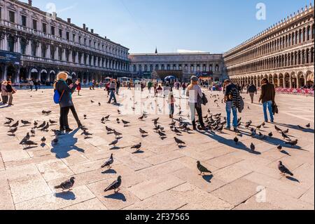 Markusplatz, Touristen und Tauben in Venedig in Venetien, Italien Stockfoto