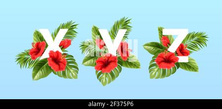 X V Z Buchstaben umgeben von tropischen Sommerblättern und roten Hibiskusblüten. Tropische Schrift für die Sommerdekoration. Vektorgrafik Stock Vektor