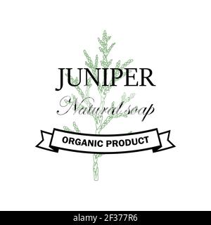 Juniper Naturseife Logo mit handgezeichneten Element isoliert auf weißem Hintergrund. Vektor-Illustration im Vintage-Stil Stock Vektor