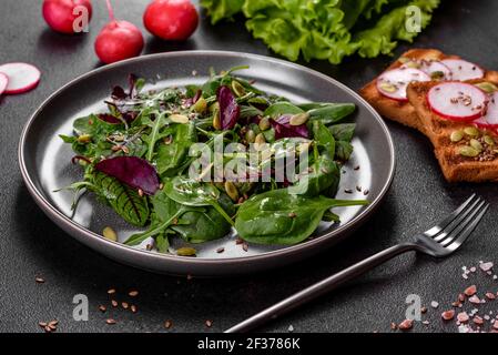 Frischer saftiger Salat mit mangold, Rucola, Spinat und Rüben. Vegetarische Küche Stockfoto