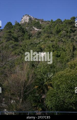 Blick auf einen immergrünen und dezidösen mediterranen Wald im Winter Stockfoto