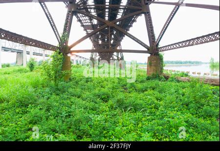 Geflutete Waterfront entlang des Mississippi Flusses Stockfoto