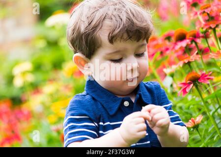 Kleiner Junge, der mit den Blumen im Garten spielt Stockfoto