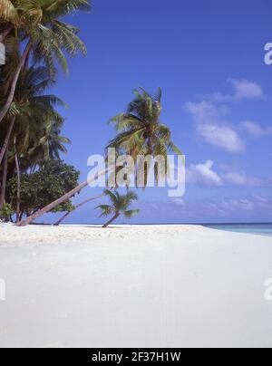 Tropischer Strand, Republik Malediven, Kuda Bandos Island, Kaafu Atoll Stockfoto