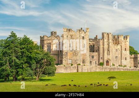 Raby Castle in der Nähe von Staindrop in der Grafschaft Durham in England Stockfoto