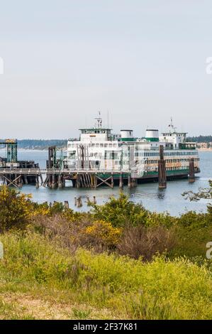 Blick auf den Anacortes Ferry Terminal und die Hyak Ferry von einem Wohngebäude auf der Navigator Lane in Anacortes, Washington. Stockfoto