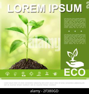 Realistische ökologische und natürliche Vorlage mit wachsenden Pflanzen Hand halten Sprout eco Logo und Ökologie Symbole Vektor Illustration Stock Vektor