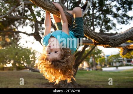 Kleines Kind auf einem Ast. Klettern und hängendes Kind. Portrait eines schönen Kindes im Park unter Bäumen. Extremer Kindersport. Kind klettert auf einen Baum. Stockfoto