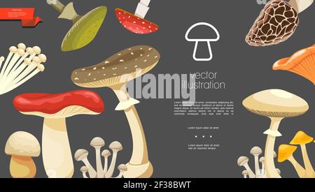 Flache Waldpilze bunte Vorlage mit Morchel chanterelle russula enokitake Toadstools Honig und Fliege Agaric Pilze Vektor-Illustration Stock Vektor