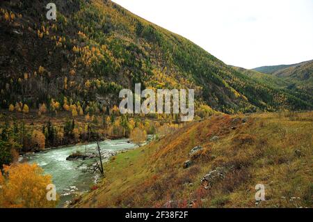 Eine Biegung eines wunderschönen türkisfarbenen Flusses, der durch das Tal am Fuße eines hohen Berges fließt. Katun, Altai, Sibirien, Russland. Stockfoto