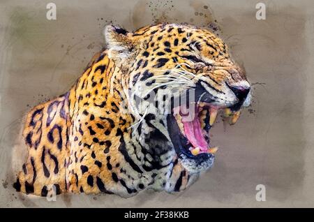 Jaguar wild angreifenden Mund öffnen digitale Aquarell Illustration Stockfoto