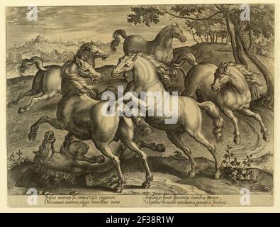 Druck, Kampfpferde aus dem vierten Set von Equile Joannis Austriaci, ca. 1575 Stockfoto