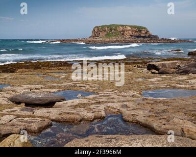 Grasshopper Island, Depot Beach, Murramarang Naional Park, NSW, Australien Stockfoto