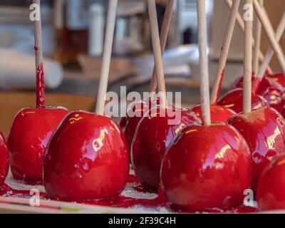 Süßigkeiten und leckere rote Süßigkeiten Äpfel mit hellen karamellisiert bedeckt Zucker Stockfoto