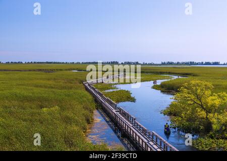 Geographie / Reisen, Kanada, Point Pelee Nationalpark, Marsh Board Walk, Kanu, zusätzliche-Rechte-Clearance-Info-Not-available Stockfoto