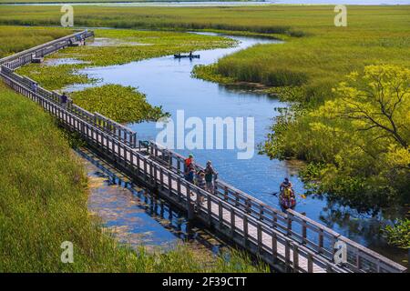 Geographie / Reisen, Kanada, Point Pelee Nationalpark, Marsh Board Walk, Kanu, zusätzliche-Rechte-Clearance-Info-Not-available Stockfoto