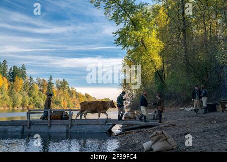 ERSTE KUH (2019), Regie Kelly REICHARDT. Kredit: A24 / Album Stockfoto