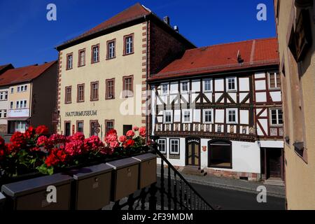 Elf Apostel Haus, ältestes Stadthaus, ca. 1500, in Tann in der Rhön, Kreis Fulda, Hessen, Deutschland / Elf-Apostel-Haus, ältestes Bürgerhaus, Landkreis Stockfoto