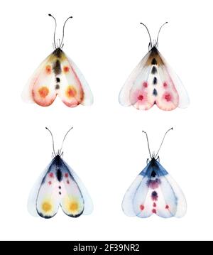 Aquarell Motte Set. Sammlung von bunten Insekten isoliert auf weiß. Detailreich weiß, gelb, blau, rosa Schmetterling. Handbemalte Sommerillustration Stockfoto