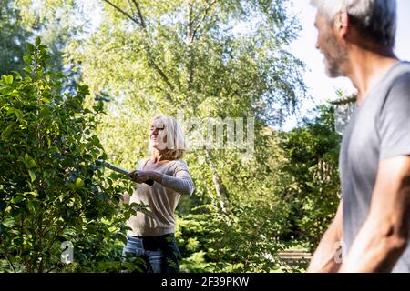 Lächelnder reifer Mann, der seine Frau beim Beschneiden der Pflanze im Hinterhof ansieht Stockfoto