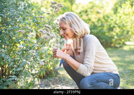 Lächelnde reife Frau, die Blumen im Hinterhof anschaut Stockfoto