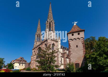 Obernai (Nordostfrankreich): Die Kirche St. Peter und St. Paul, neugotischer Stil, in rosa und grauem Sandstein Stockfoto