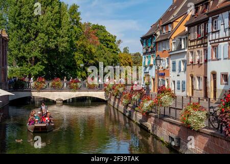 Colmar (Nordost-Frankreich): Fassaden von Fachwerkhäusern, traditionelle elsässische Häuser, Kai „quai de la Poissonnerie“. Bootsfahrt auf dem Fluss Stockfoto
