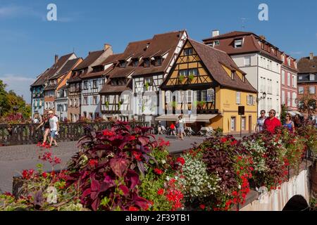 Colmar (Nord-Ost-Frankreich): Fassaden von Fachwerkhäusern, traditionelle elsässische Häuser, Kai 'Quai de la Poissonnerie', mit der Brücke der st Stockfoto