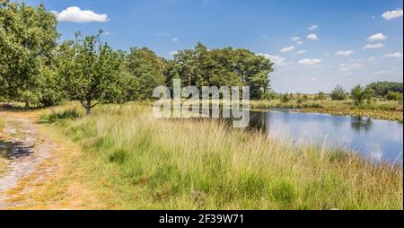 Panorama eines kleinen Schwimmbades im Nationalpark Dwingelderveld, Nethelands Stockfoto