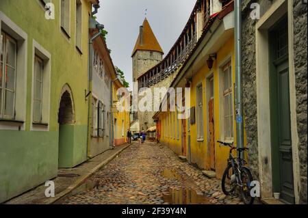 Historisches Zentrum der Unteren Altstadt, Talinn, Estland. Enge, gepflasterte Straße, die zum Turm und Tor der alten Stadtmauer führt Stockfoto