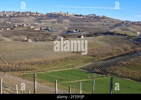 Panorama des Weinbaugebiets Langhe, UNESCO-Weltkulturerbe, mit dem Dorf Diano d'Alba auf einem Hügel, Cuneo, Piemont, Italien Stockfoto