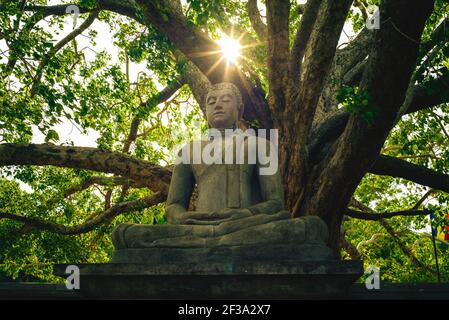 buddha-Statue in Abhayagiri Dagoba Stupa in Anuradhapura, Sri Lanka Stockfoto