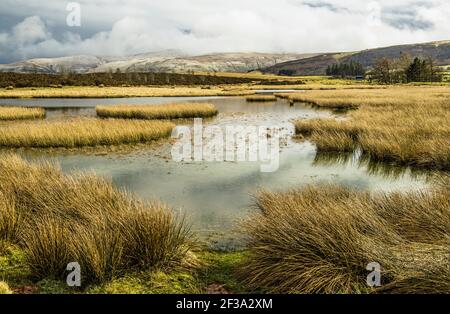 Blick über den Teich auf Mynydd Illtyd Common in Richtung Pen Y-Lüfter, umhüllt von niedriger Wolke Stockfoto