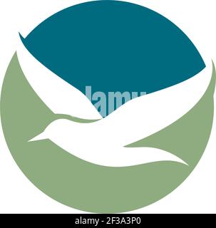 Seagull Logo Vorlage Vektor Symbol Illustration Design Stock Vektor