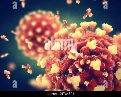 Das Coronavirus ist ein hochansteckender Virus, der ein schweres akutes atemsyndrom verursacht. Die weltweite COVID-19-Pandemie wird durch die SARS CoV-2 verursacht. Stockfoto