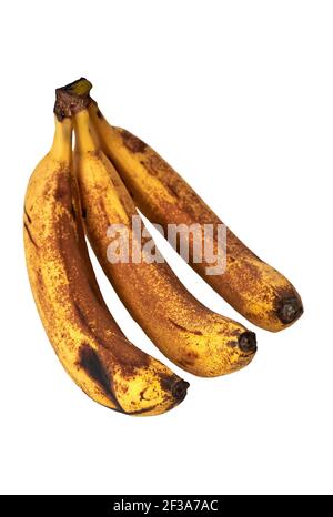 Drei überreife Bananen in braunen Flecken isoliert auf weißem Hintergrund. Stockfoto