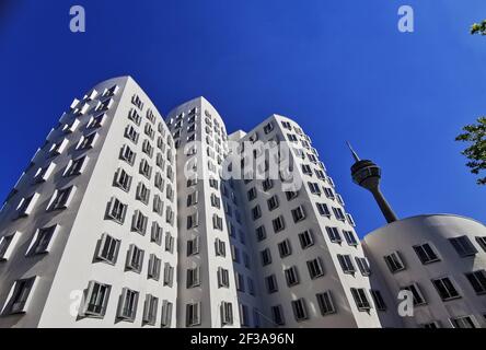 Neuer Zollhof im Medienhafen, Architekt Frank Gehry, Gehry Buildings, Düsseldorf, Nordrhein-Westfalen, Deutschland / Neuer Zollhof im Medienh Stockfoto
