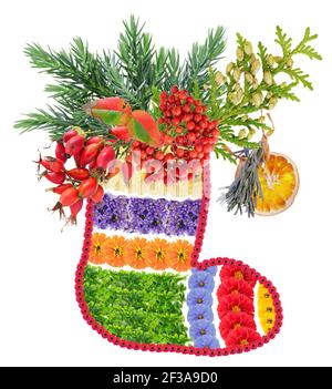 Weihnachtsgeschenk Socke aus Blumen Beeren und Zweige. Isoliert auf weiß handgemachte Fotocollage Stockfoto