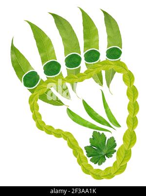 Bärenpfote - ein Symbol für Kraft und Kraft aus Blättern. Isolierte handgemachte Foto Kolllage Stockfoto