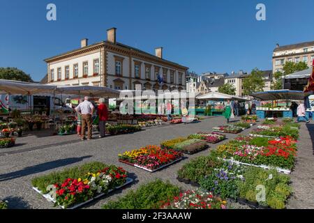 Luxemburg: Blumenmarkt auf dem Platz "Place Guillaume II", in Luxemburg-Stadt Stockfoto