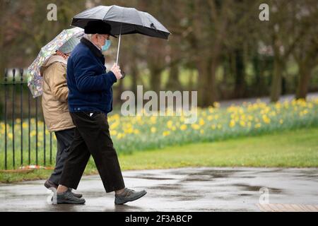 Ein Paar mit Schutzmasken geht bei einer Regendusche an einer Vielzahl von Narzissen in Leamington Spa, Warwickshire vorbei. Bilddatum: Dienstag, 16. März 2021. Stockfoto