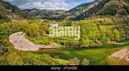 Charbonnieres Chateau, Fluss Tarn, Gorges du Tarn, Massif Central, Gemeinde Gorges du Tarn Causses, Departement Lozere, Region Okzitanien, Frankreich Stockfoto