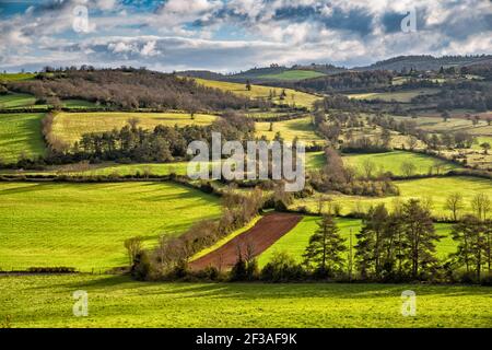 Felder, Weiden auf der Causse de Sauveterre Kalksteinplateau, in der Nähe von Point Sublime und Gorges du Tarn, Massif Central, Lozere, Occitanie Region, Frankreich Stockfoto