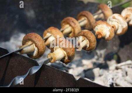 Gemüsegrill an der frischen Luft. Gegrillte Champignons auf Spießen im Freien. Veganer Shish Kebab. Verschwommener Hintergrund und einige Pilze Nahaufnahme Stockfoto