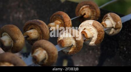 Gegrillte Champignons auf Spießen im Freien. Gemüsegrill an der frischen Luft. Veganer Shish Kebab. Banner mit Hintergrund für Lebensmittel Stockfoto